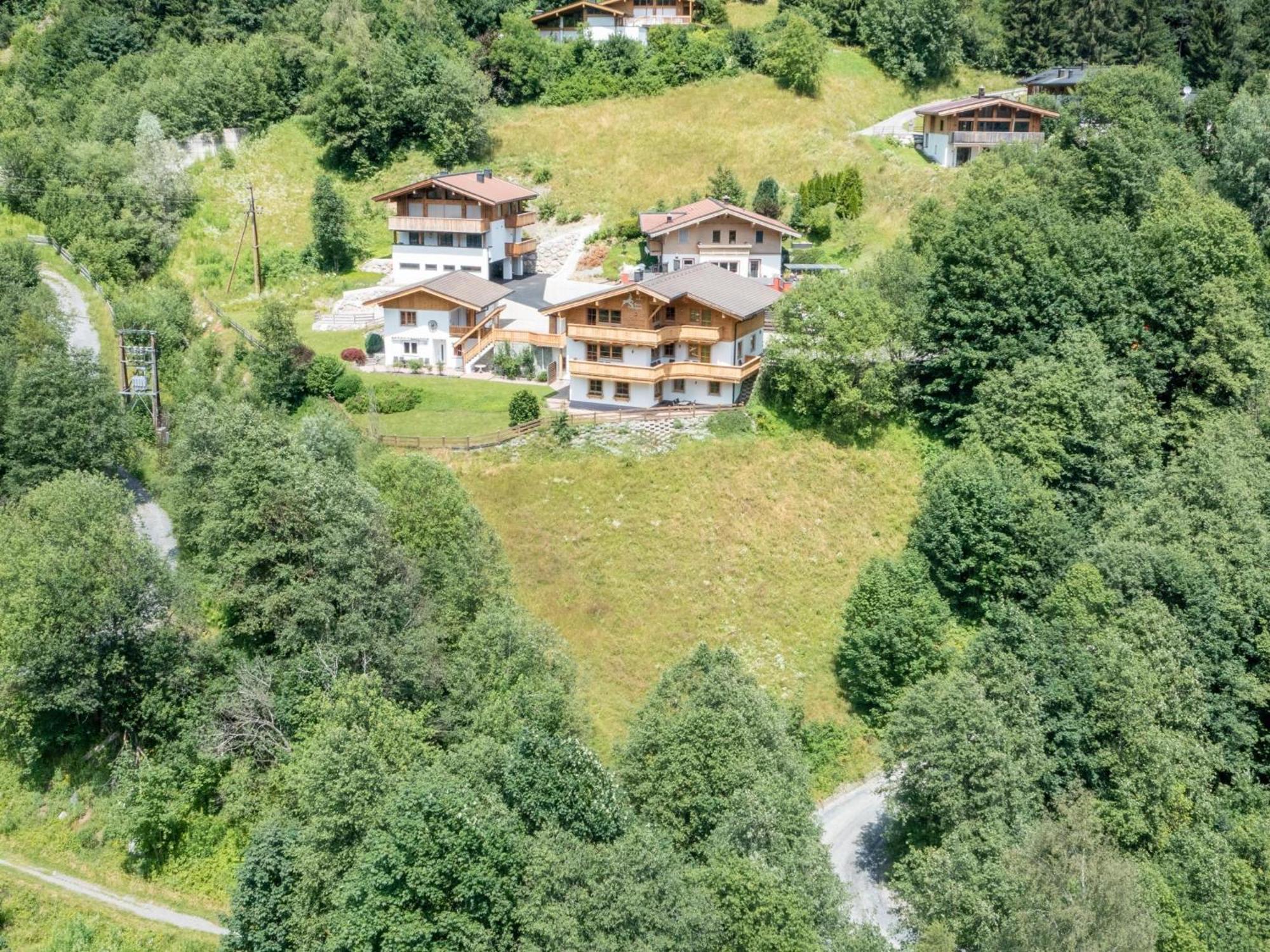 Alpensteinbock Ferienhaus Saalbach-Hinterglemm