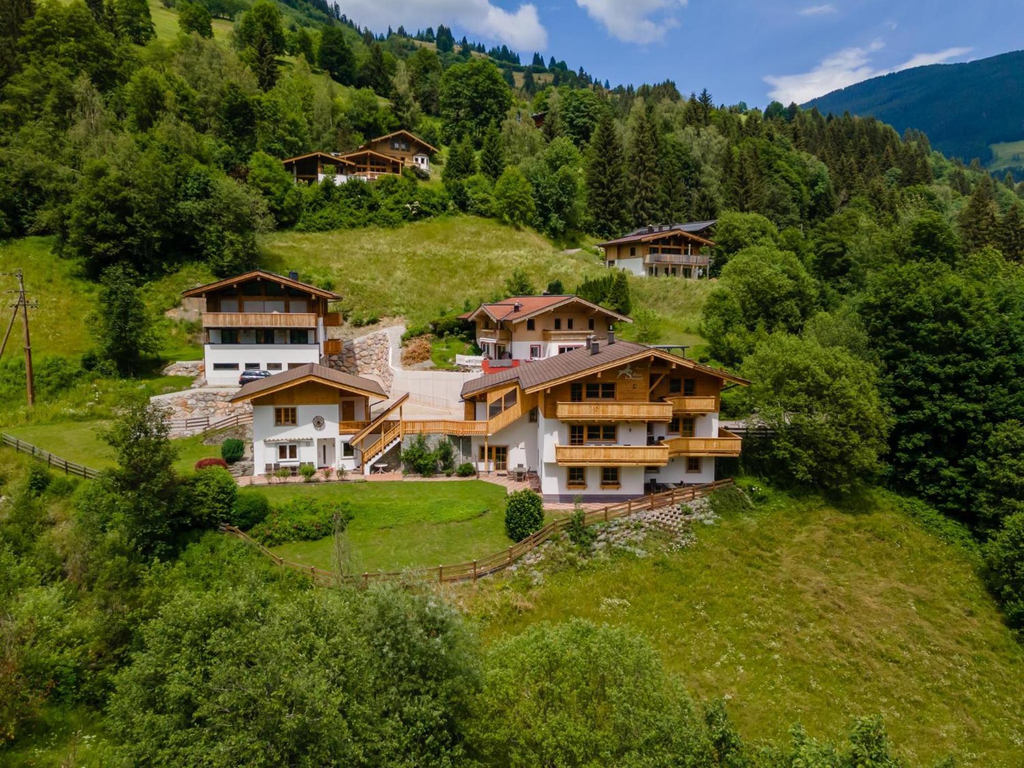 Alpensteinbock * Saalbach-Hinterglemm