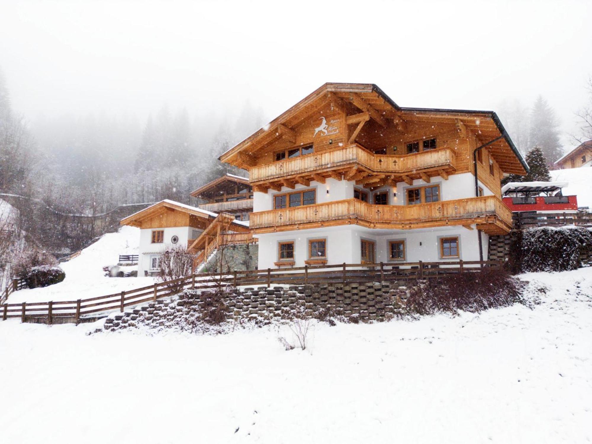 Alpensteinbock *